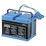 Peg Perego – Batería de 12 V 12 V, 12 Ah