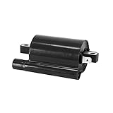 cyclingcolors Bobina accensione moto ciclomotore scooter compatibile con honda 125 sh pantheon silver wing aprilia leonardo scarabeo sym joy max piaggio 250 x9