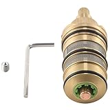 RUANI Cartuccia Termostatica per Doccia nel per e Maniglia per Miscelatore Valvola Miscelatrice Doccia Bar Miscelatore Doccia Doccia Valvola Miscelatrice