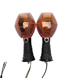 Indicatori di Direzione Indicatori Di Direzione Anteriori Posteriori Per Motociclette, Luci Per SUZUKI DL 1000 /650 V-Strom DL650 DL1000 2004-2012, Luci Sinistra E Destra Frecce Moto(Ambra,Posteriore)