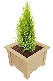 GoodFreshDecor Vaso In Legno Fioriere Per Fiori Piante Ortaggi Da Esterno Interno Giardino Terrazza Quadrate Decorazione 40 x 40 x 30 cm