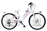 Bicicletta Bambina MTB 24 LINCY 6V - Ruote 24" (bianco)