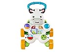 Fisher-Price Zebra Primi Passi Spingibile, Giocattolo Elettronico Educativo con Musica e Suoni, per Camminare, per Bambini di 6+ Mesi, Edizione: Inglese, Imballaggio ridotto, GXC31
