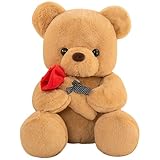 DHINCHANSAIB Regali di San Valentino per Bambini - Orsetto di Peluche con Rosa, 25 cm, Giocattolo Morbido per Compleanni e San Valentino, Perfetto per Coppie e Amici (Brown)