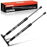 Frankberg 2x Molle a gas Cancello posteriore Compatibile con Cherokee XJ Tutti i motori SUV 1997-2001 Sostituisci# 55076208AB