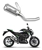 DOMINATOR Terminale di Scarico Marmitta Silenziatore GPS compatibile con Z800 2013-2016