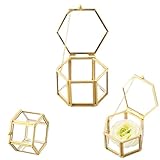 Amexo Scatola di Vetro per Gioielli, Porta Anelli Portagioie in Vetro Dorato Trasparente Scatola di Anelli Geometrica Esagonale Portagioie per Riporre e Esporre Gioielli (Oro)