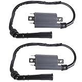 Twowinds - Bobina Accensione Compatibile con Yamaha XV250 V Star Virago XV535 XV1100 XV750 XV1000 (2 pezzi)