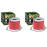 DB PARTS Set di 2 filtri olio compatibili con Suzuki 1100 GSX E,L 1979 1980 1981