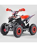 Mini Quad a benzina Sanchez 50CC, Quad bambini 2 tempi, Mini Quad automatico per bambini