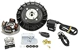 PINASCO FLYTECH KIT ACCENSIONE ELETTRONICA 12V VOLANO 1,4 KG CONO 19 ANTICIPO VARIABILE PIAGGIO VESPA 50 125 SPECIAL R L N PK ET3 PRIMAVERA Art. 25356835