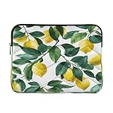 Ewusp Lemon - Custodia protettiva per laptop da 16 pollici, impermeabile, antiurto, borsa da trasporto per computer portatile, 40 x 30 x 2 cm