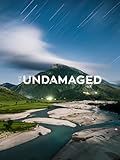 The Undamaged