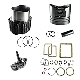 Generico Kit Cilindro e Pistone + Pompa Olio + Serie Guarnizione Completa e Paraoli Compatibile per Motore Lombardini Diesel 6ld 400 per Motozappa e Motocoltivatore