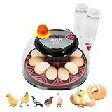 Incubatrice Automatica per 12 Uova, Incubatrice Uova Gallina con Controllo della Temperatura e Display dell'umidità, Incubatrice con Rotazione Automatica delle Uova per Polli, Anatre e Quaglie