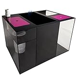 Dupla Marin Ocean Sump 200 I 5 Camere Filtri I Facile Installazione I Camera Skimmer Regolabile I Dimensioni: 49,3 x 35 x 40 cm