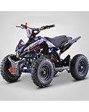 T-MOTO - Mini quad a motore per bambini TOXIC Ruota 6 - Quad bambini benzina Sella 550mm - Mini quad 50cc 2 Tempi - Mini Quad a benzina Miscela 2%