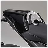 Fayedenicy Moto Posteriore Corsa Sedile singolo Cofano Copertura Dura ABS Carenatura Sezione di Coda per CB1000R CB 1000 R CB 1000R Accessori 2018 2019 2020 2021 2022 2023 (Grigio + Argento)