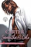 CARTER: Serie Trident Security Vol. n. # 9 (Follie in Passion)