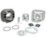 317083 MALOSSI GRUPPO TERMICO CILINDRO IN GHISA 75cc MOTRON THUNDER'S 50