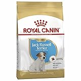 Royal Canin Jack Russell Terrier Puppy | 1,5 kg | Cibo secco per cuccioli di Jack Russell Terrier fino al 10º mese | Supporto del sistema immunitario | Pelo splendido e denti sani