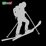 Nuova Generazione ADESIVO SCIALPINISTA SCIALPINISMO ALPINISMO SCI SKI STICKER ADESIVI MONTAGNA SCI DI FONDO SPORT (Grigio Chiaro Lucido)