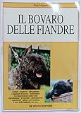 Il bovaro delle Fiandre