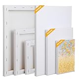 Set da 6 tele per dipingere 30x20, 20x15, 15x10 cm – tela per dipingere professionale in tela bianca, perfetta per acrilico, olio e gouache – tele pittura ideali per artisti e hobbisti.