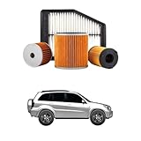 Kit 4 Filtri Tagliando compatibile con TOYOTA RAV 4 II 2.0 D-4D 4WD 85 kw Diesel 2001-2005