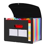 Diboniur Cartella Portadocumenti Espandibile, A4 Porta Documenti Fisarmonica, 13 Tasche Raccoglitore Documenti, Portatile Cartelle a Soffietto per Casa Scuola Ufficio Viaggio (Nero)