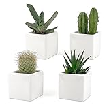 Set di 4 Vasi Bianchi, da Interno in Ceramica Bianca Lucida | Misura 6,5x6,5 cm | Ideali per Piante Grasse, Bonsai, Fiori, Vasetti Decorativi da Interno Moderni per Casa, Scrivania, Tavolo, Ufficio.