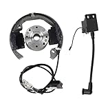 Kit volano magnete rotore statore bobina di accensione compatibile con KTM50 K-T-M 50 SX 50cc Pro Senior Junior SR JR SX50