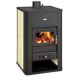Stufa a legna con retro caldaia camino multi combustibile Prity S3W17 17+5 KW