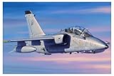 Hobbyboss 207.627,2 cm a-11b Trainer Aircraft Model Kit in plastica, Scala 1: 48