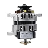 TABODD Generatore di motori permanente, 2000 W, potenza 14 V, piccolo generatore, senza spazzole, magnete permanente a pressione costante, nucleo in filo di rame, per trattore diesel singolo cilindro