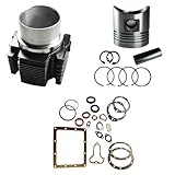 Generico Kit Cilindro e Pistone + Serie Guarnizione Completa e Paraoli Adattabile per Motore Lombardini Diesel LDA 510 per Motozappa e Motocoltivatore