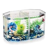 UKCOCO Piccolo Acquario Betta: Piccolo Acquario Trasparente o Con Partizione Mobile Vasca Per Lallevamento Di Pesci Per Pesci Rossi Betta 7. 86X4. 72X4. 32 Pollici