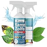 Rame Zolfo Spray 500 ml – Trattamento naturale pronto all’uso per piante ornamentali, da frutto, orto e giardino – Con rame, zolfo, caolino e microelementi