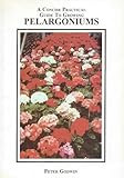 Concise Practical Guide to Growing Pelargoniums