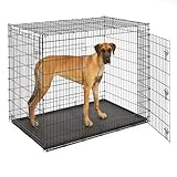 MidWest Homes for Pets Gabbia Ginormus per cani XXL, a 2 porte per le razze grandi, alano, mastino, San Bernardo, colore nero, SL54DD