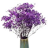 TooGet Fiori secchi naturali Babys Breath Bouquet Rami di Gypsophila per la decorazione della casa, matrimonio, decorazione della tavola, corona floreale fai da te, fiori secchi sfusi per vaso