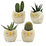 Set 4 Vasetti Gufo Decorati a Mano | Vasi per Piante Grasse e Fiori | Coprivaso Decorativo | Interni ed Esterni | Diametro 8cm