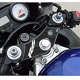 Resin Bike Adesivi Moto Compatibile con Yamaha R6 1999-2002. Protezione Forcella Sterzo da Urti e Graffi. Adesivo Resinato con Effetto 3D per Piastra Forcella Sterzo