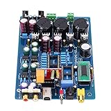 Marhynchus Decodificatore con Resistenze Metalliche Un Buon Rapporto di Segnale per Un Rumore Adeguato per gli Appassionati di Cisto-TDA1541