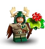 LEGO D&D Minifigure: Halfling Druid (Halblingdruid:in) – Personaggi Lego DND Singoli da collezionare (71047)