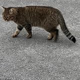 189 Music Man Luke [Explicit]