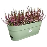 Elho Vibia Campana Trough 50 - Fioriera per Balcone - Ø 49.0 x H 17.0 cm - Verde/Pistache Green