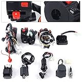 ieLsngai Completo cavo elettrico cablaggio raddrizzatore CDI, set di cablaggio, per ATV QUAD 150-250 300CC