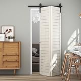 TSMST Set completo, 76,3 cm, sistema di porte scorrevoli, salvaspazio, per 2 porte, stile base, liscio e silenzioso (senza porta)