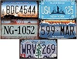 - Lotto di 5 targhe automobilistiche USA in Metallo, con Effetto Invecchiato - repliche di autentiche targhe Americane (Old1)